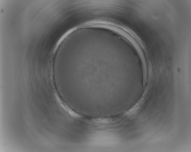 X0000075900862200609221935