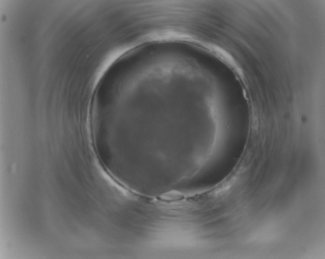 X0000075900863200609221935