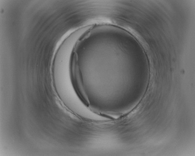 X0000075900864200609221935