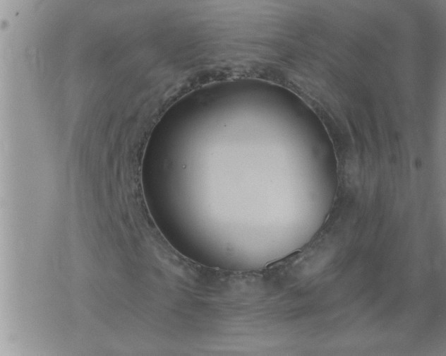 X0000075900865200609221934