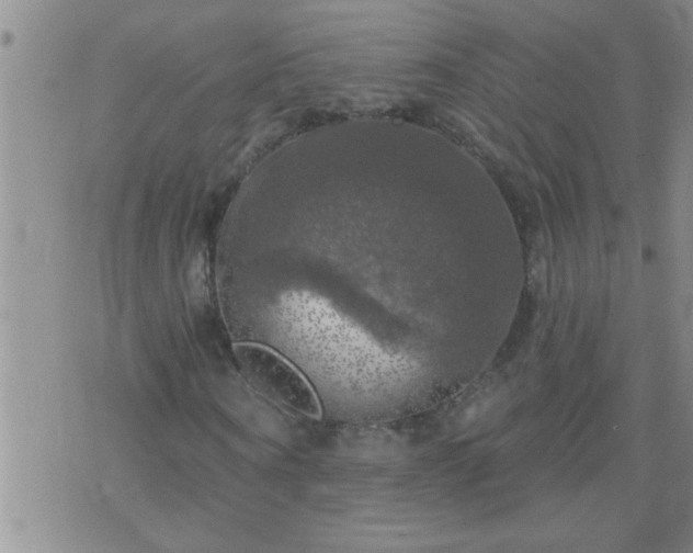 X0000075900866200609221934