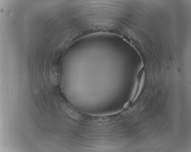 X0000075900868200609221934