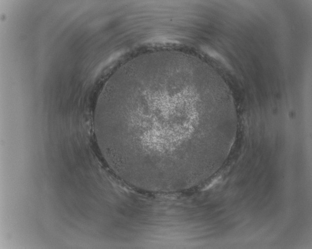 X0000075900870200609221934