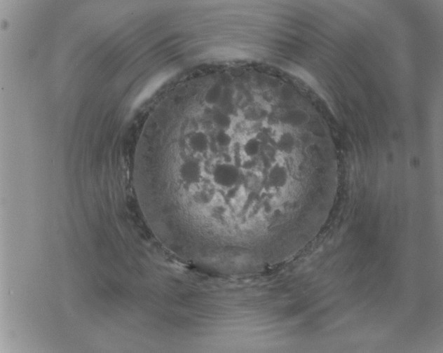 X0000075900871200609221934