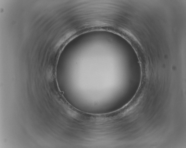 X0000075900873200609221934