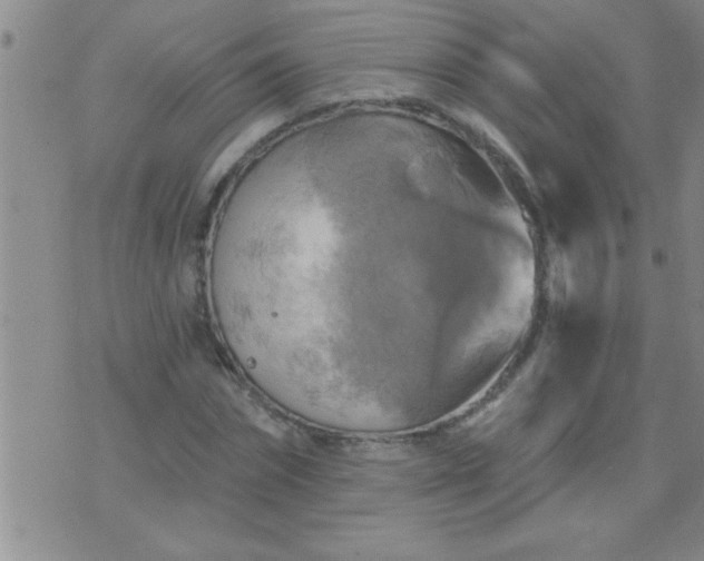 X0000075900874200609221934