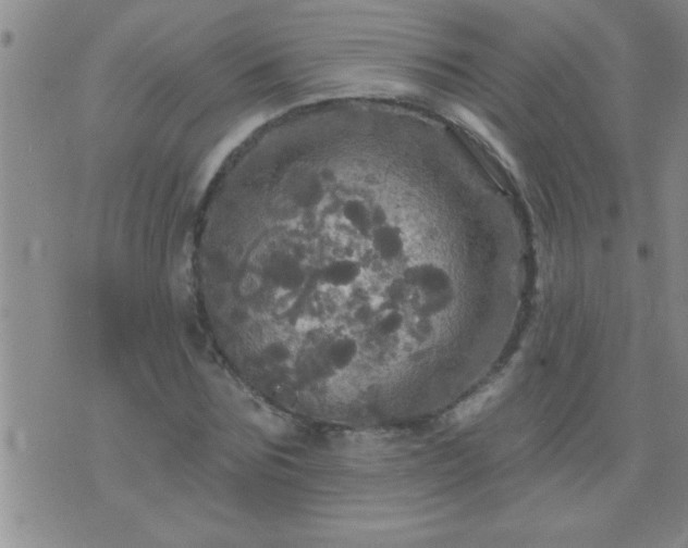 X0000075900875200609221934