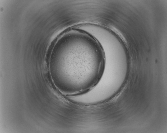 X0000075900876200609221934