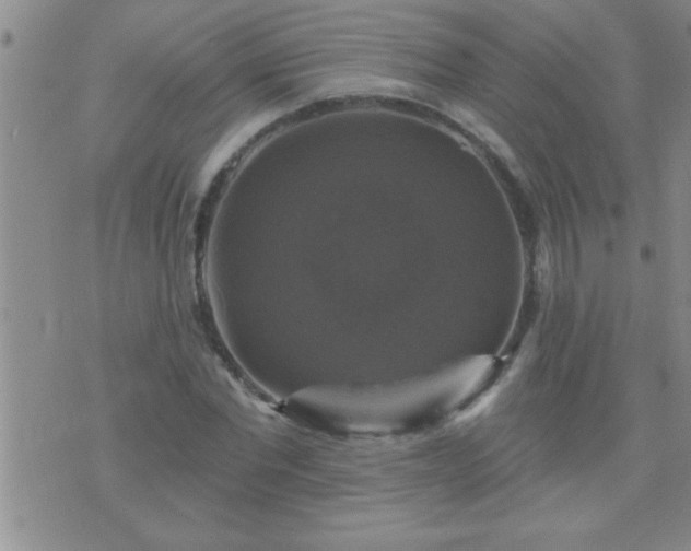 X0000075900877200609221934