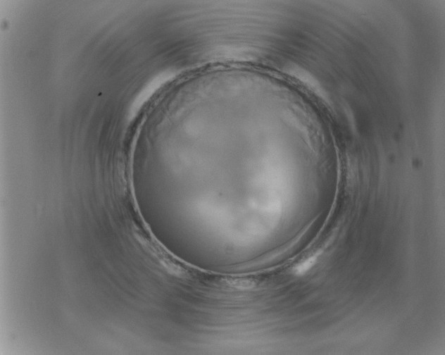 X0000075900878200609221934