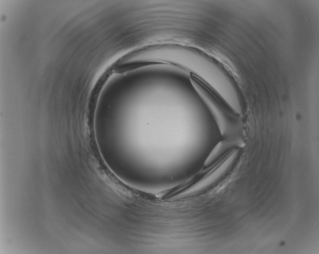 X0000075900880200609221934