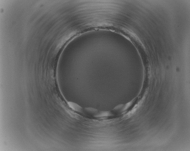 X0000075900881200609221934