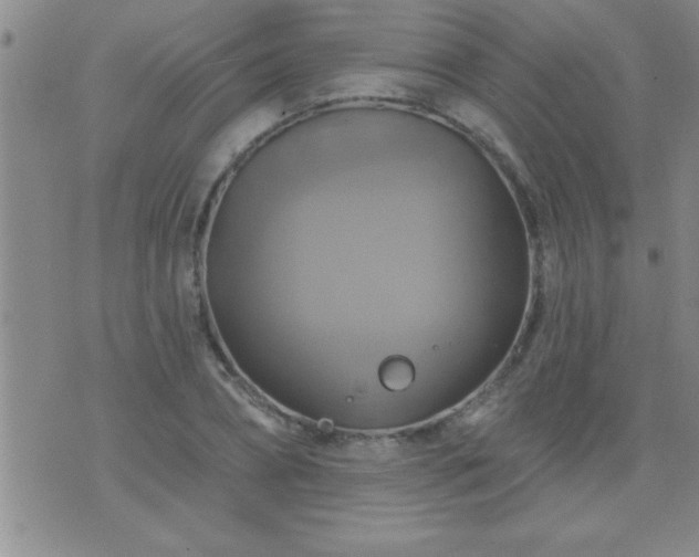 X0000075900882200609221934