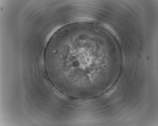 X0000075900883200609221934