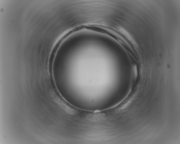 X0000075900884200609221934