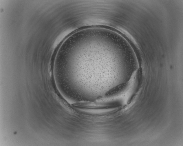 X0000075900885200609221934