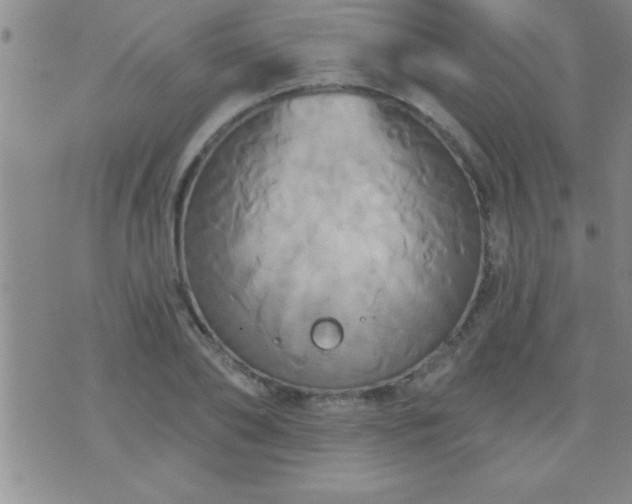 X0000075900886200609221934