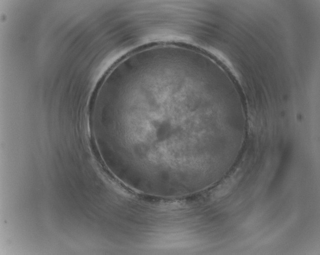 X0000075900887200609221934