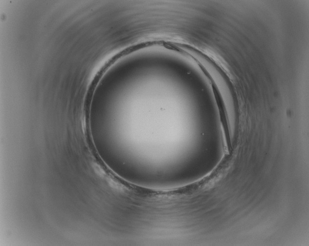 X0000075900888200609221934