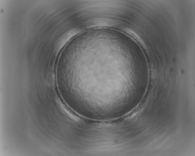 X0000075900890200609221934