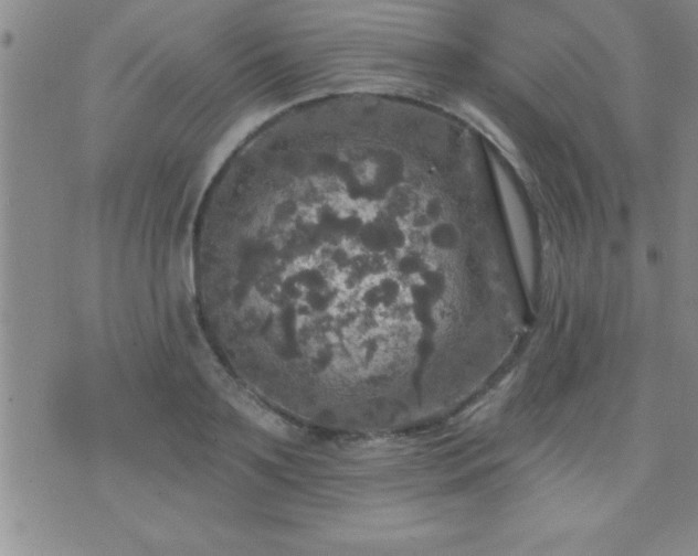 X0000075900891200609221934