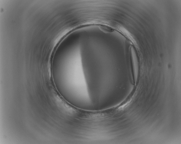 X0000075900892200609221934