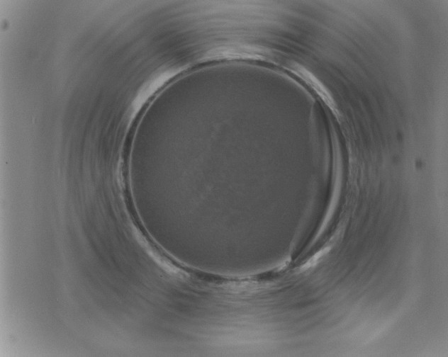 X0000075900893200609221934