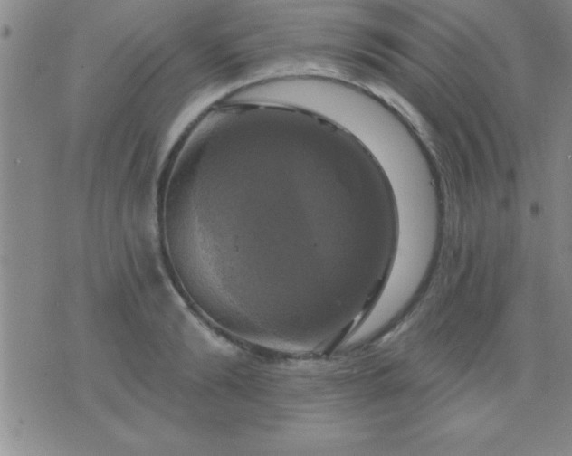 X0000075900894200609221934