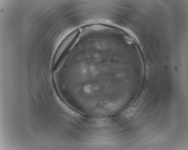 X0000075900895200609221934