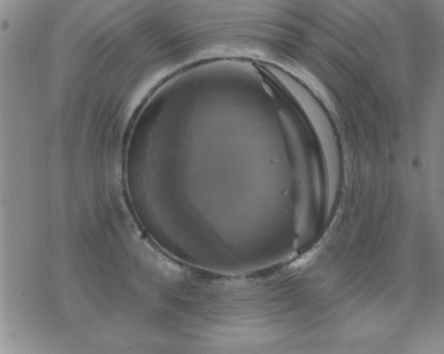 X0000075900896200609221934