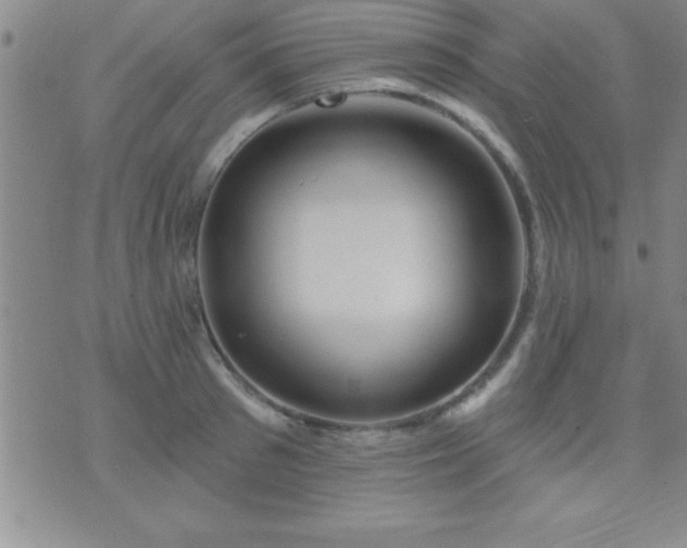 X0000075900897200609221934