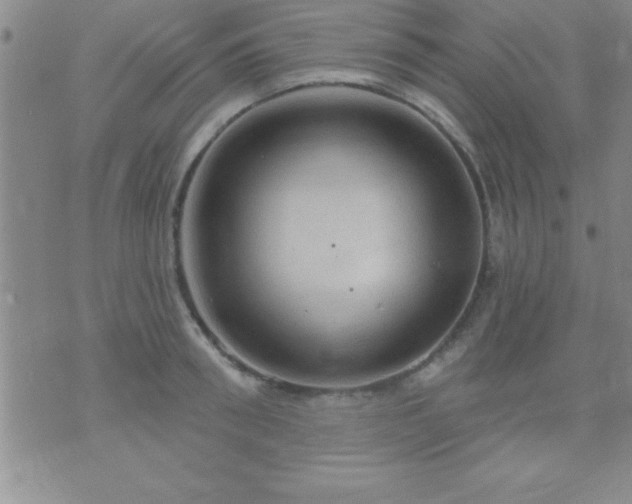 X0000075900898200609221934