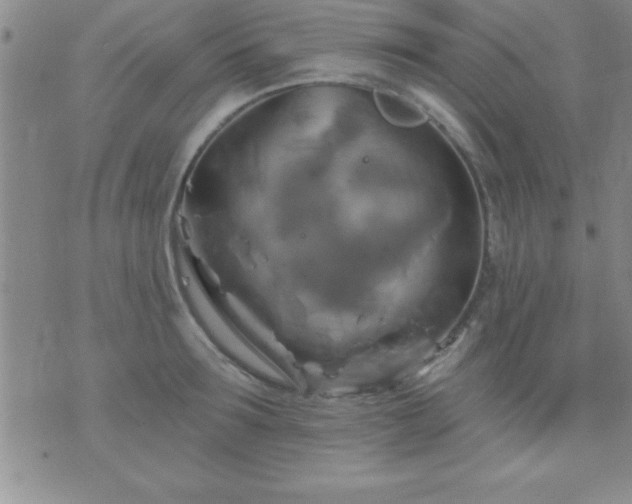 X0000075900899200609221934