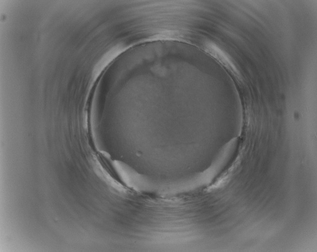 X0000075900900200609221934