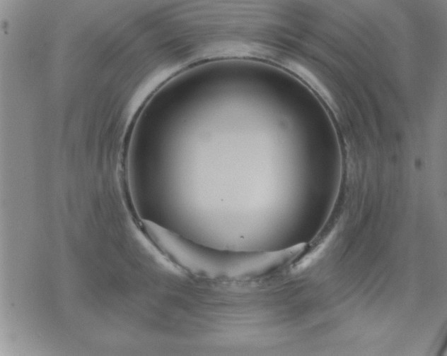 X0000075900901200609221934