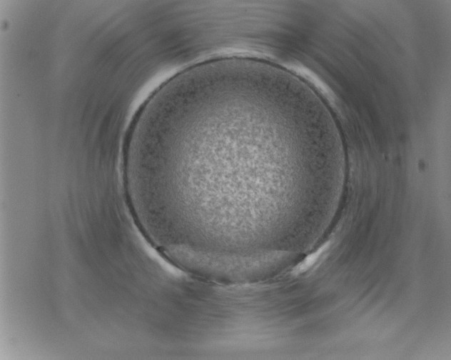 X0000075900902200609221934