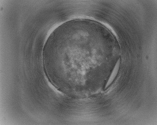 X0000075900903200609221934