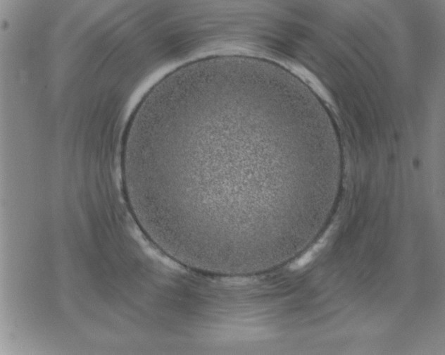 X0000075900904200609221934