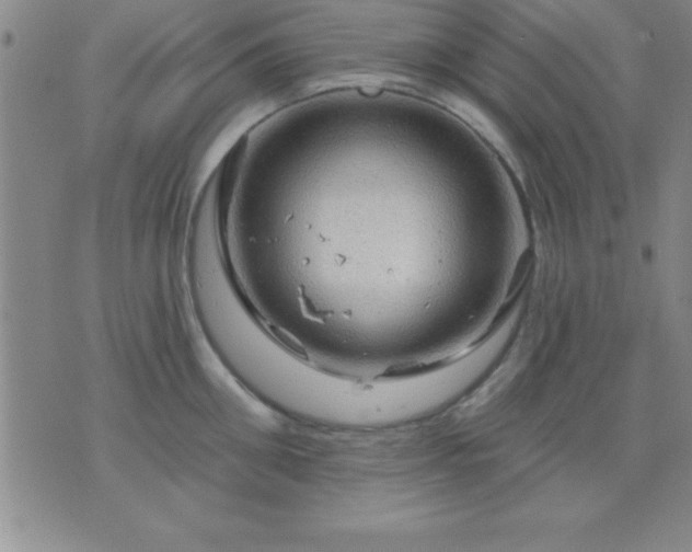 X0000075900906200609221933