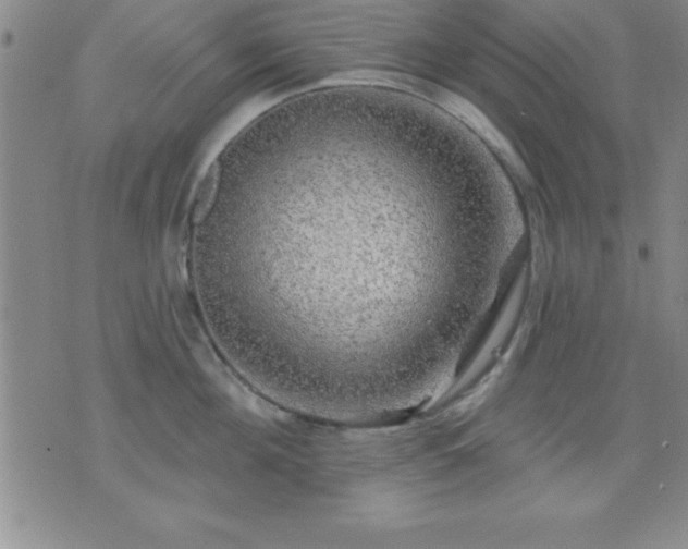 X0000075900908200609221933