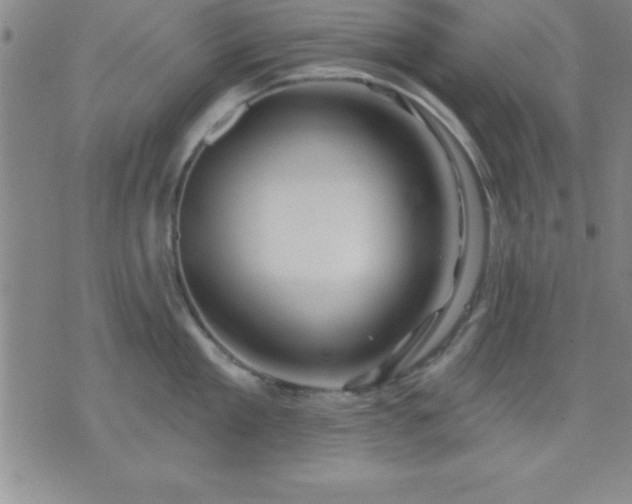 X0000075900909200609221933