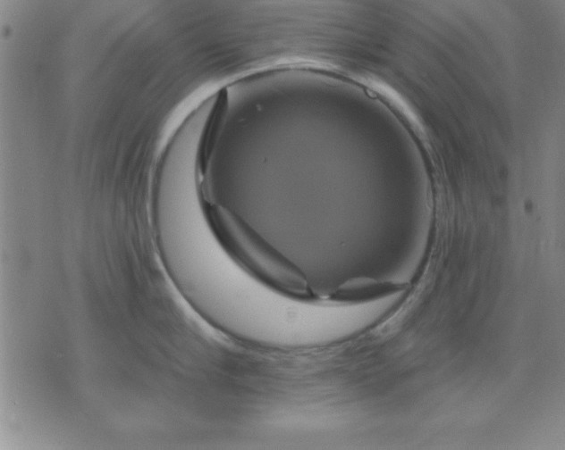 X0000075900910200609221933