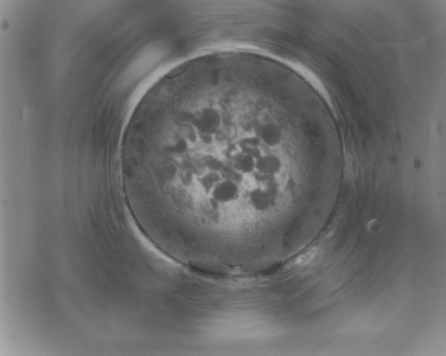 X0000075900911200609221933