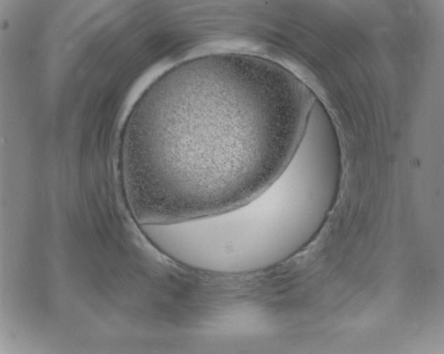 X0000075900912200609221933