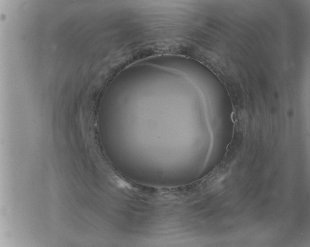 X0000075900913200609221933