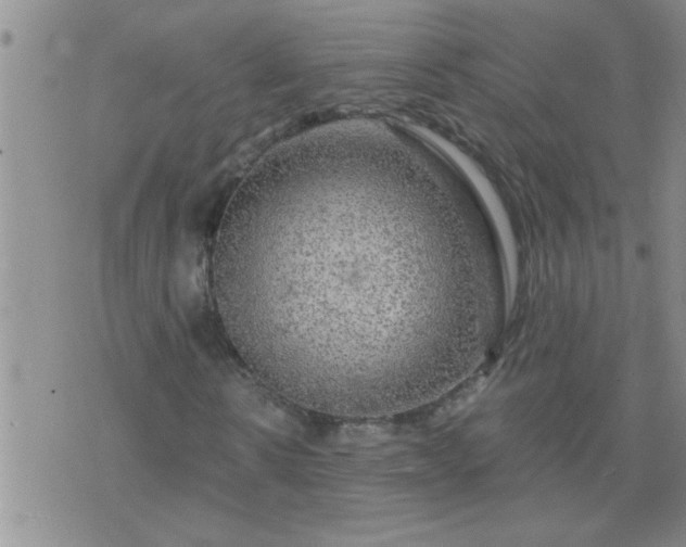 X0000075900914200609221933