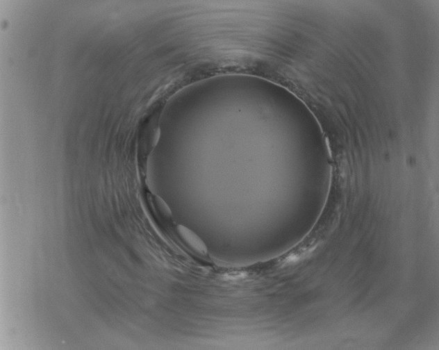 X0000075900916200609221933