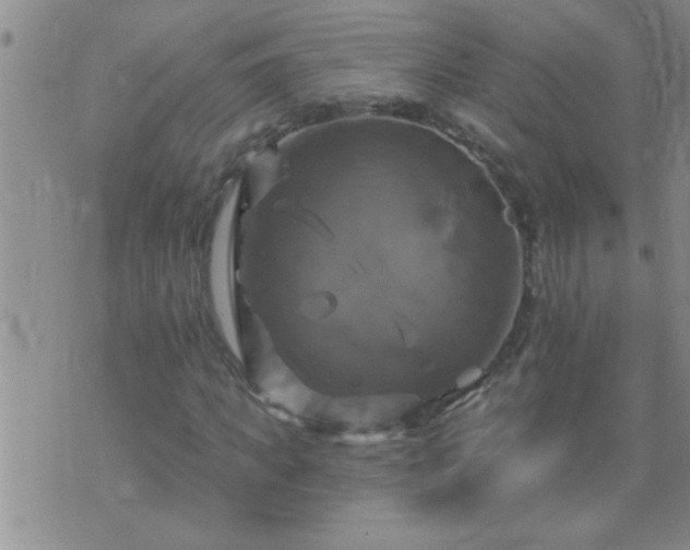 X0000075900917200609221933