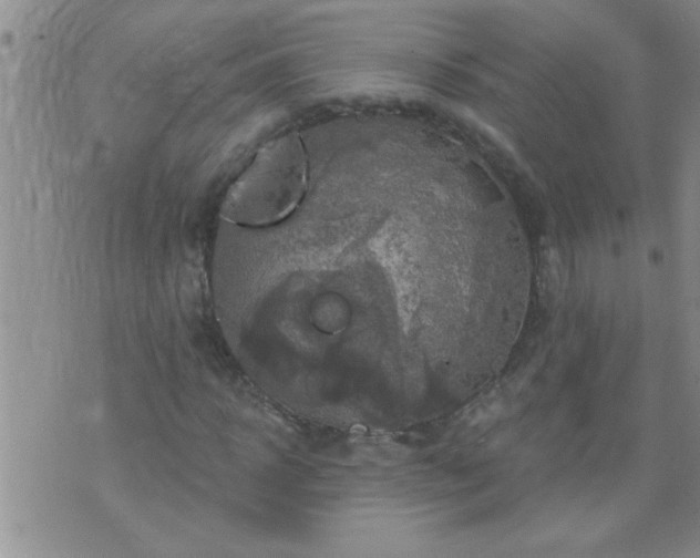 X0000075900918200609221933