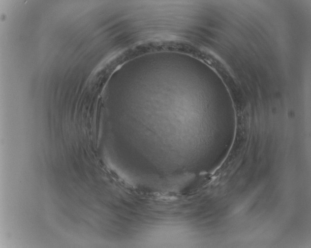 X0000075900919200609221933